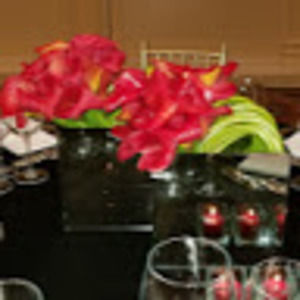 Meet your Posher, Marco